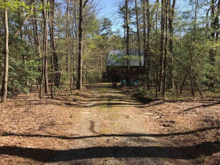 Cabin Fever On Cartecay River Ellijay Exterior foto